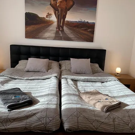 Apartament Tinasol *